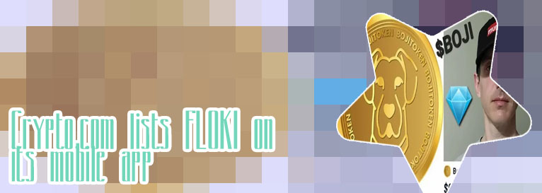 Floki coin crypto where to buy