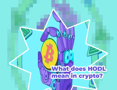 Hodl meaning crypto