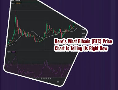 Price of bitcoin graph