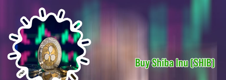 Shib crypto news